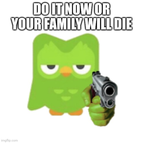 Duolingo | DO IT NOW OR YOUR FAMILY WILL DIE | image tagged in duolingo | made w/ Imgflip meme maker