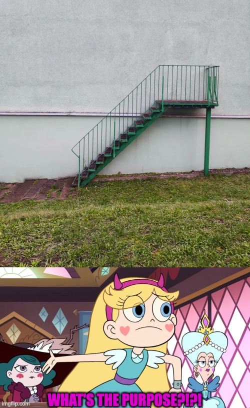 WHAT'S THE PURPOSE?!?! | image tagged in star explaining,you had one job,star vs the forces of evil,memes | made w/ Imgflip meme maker