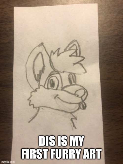 Drawing | DIS IS MY FIRST FURRY ART | image tagged in drawing | made w/ Imgflip meme maker