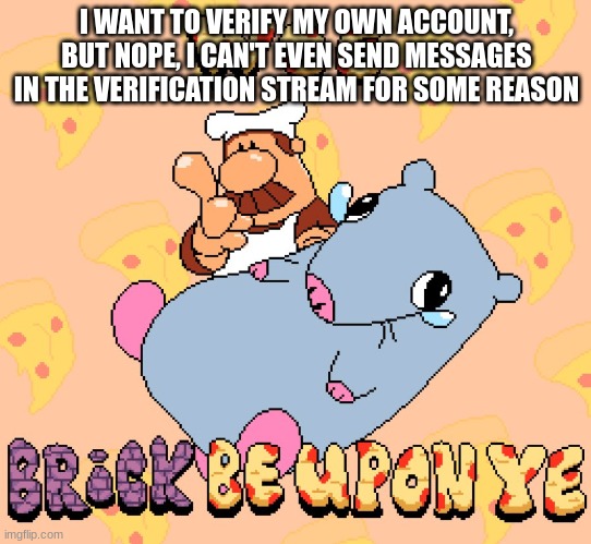 Woe brick be upon ye | I WANT TO VERIFY MY OWN ACCOUNT, BUT NOPE, I CAN'T EVEN SEND MESSAGES IN THE VERIFICATION STREAM FOR SOME REASON | image tagged in woe brick be upon ye | made w/ Imgflip meme maker