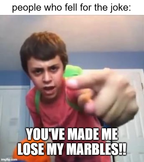 SammyClassicSonicFan Pointing at the camera | people who fell for the joke: YOU'VE MADE ME LOSE MY MARBLES!! | image tagged in sammyclassicsonicfan pointing at the camera | made w/ Imgflip meme maker