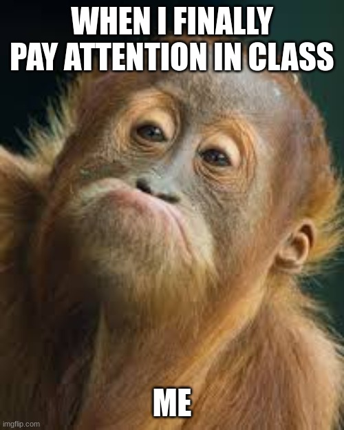 MONKEYYYY | WHEN I FINALLY PAY ATTENTION IN CLASS; ME | image tagged in memes | made w/ Imgflip meme maker