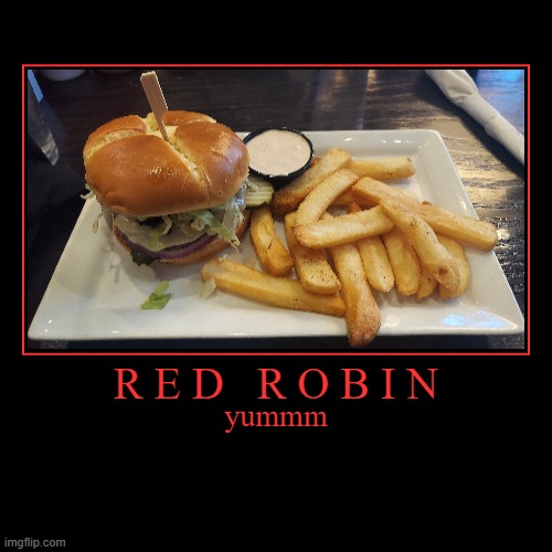 But what about Blue Bird? | image tagged in funny,demotivationals,red robin,cheeseburger,french fries,food | made w/ Imgflip demotivational maker