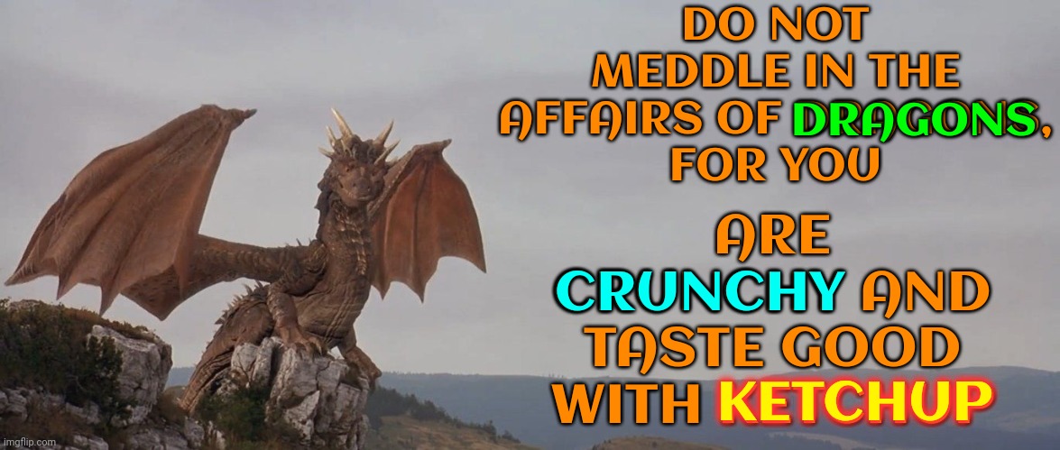 Dragons Love Ketchup | DO NOT MEDDLE IN THE AFFAIRS OF DRAGONS,
FOR YOU; ARE CRUNCHY AND TASTE GOOD WITH KETCHUP; DRAGONS; CRUNCHY; KETCHUP | image tagged in dragons,you are out of your league,how tough are you,yum,eaten alive,memes | made w/ Imgflip meme maker
