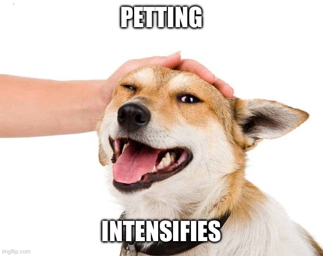 Petting a Dog | PETTING INTENSIFIES | image tagged in petting a dog | made w/ Imgflip meme maker