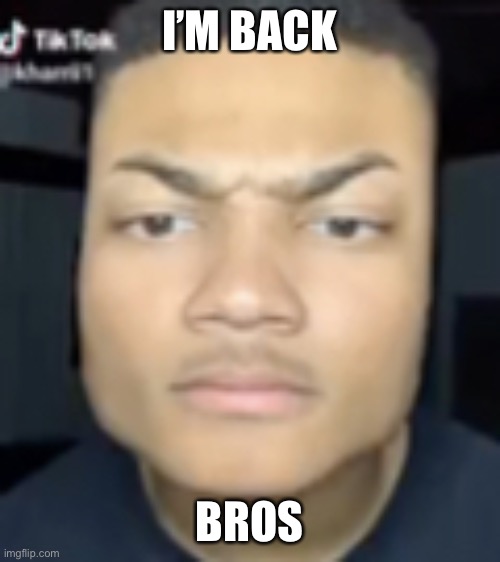 Minecraft | I’M BACK; BROS | image tagged in minecraft head guy | made w/ Imgflip meme maker