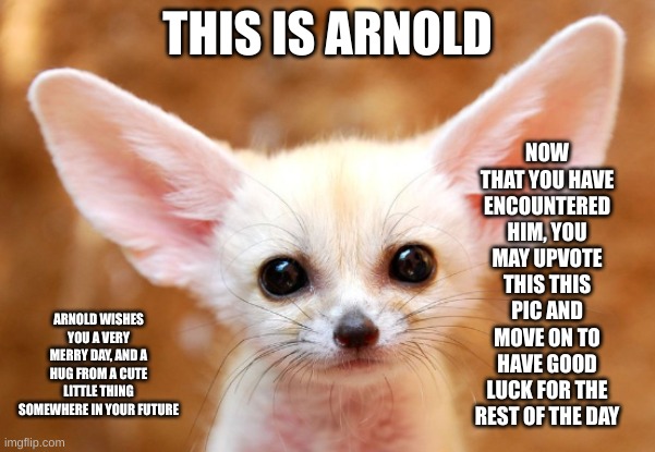 This is Arnold | NOW THAT YOU HAVE ENCOUNTERED HIM, YOU MAY UPVOTE THIS THIS PIC AND MOVE ON TO HAVE GOOD LUCK FOR THE REST OF THE DAY; THIS IS ARNOLD; ARNOLD WISHES YOU A VERY MERRY DAY, AND A HUG FROM A CUTE LITTLE THING SOMEWHERE IN YOUR FUTURE | image tagged in cute dog,big ears,cute,adorable,doggie | made w/ Imgflip meme maker