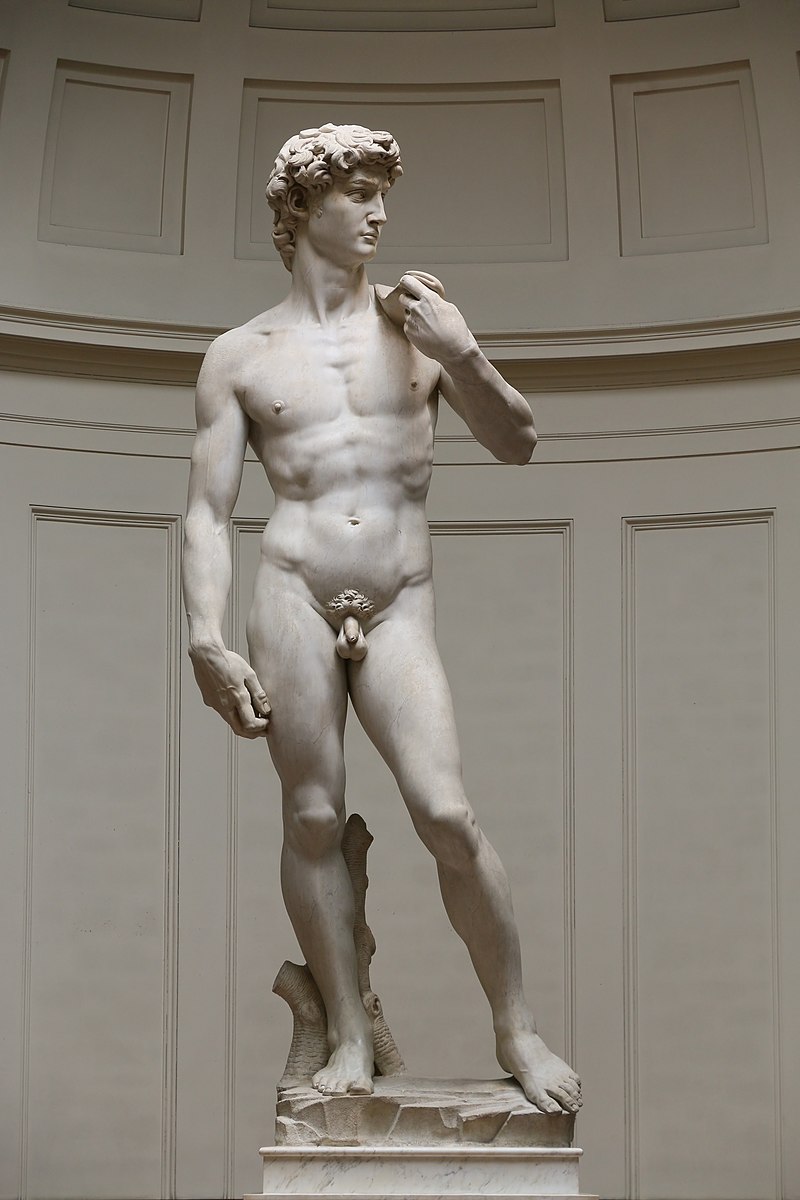 Statue of David Blank Meme Template