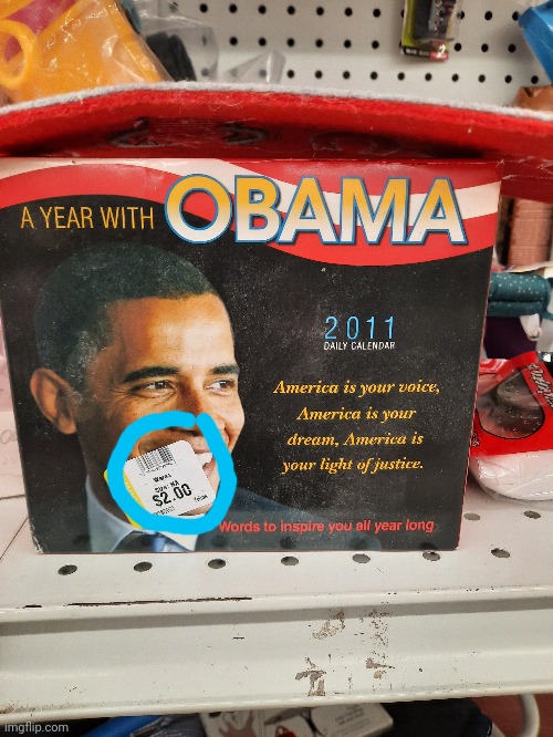 Overpriced Goodwill find | image tagged in obamasux | made w/ Imgflip meme maker
