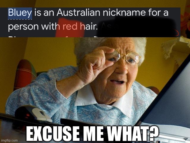 Grandma Finds The Internet | EXCUSE ME WHAT? | image tagged in memes,grandma finds the internet | made w/ Imgflip meme maker