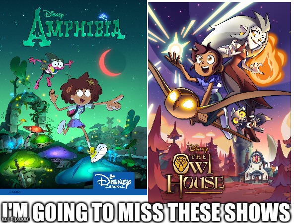 i going to miss them | I'M GOING TO MISS THESE SHOWS | image tagged in the owl house,amphibia | made w/ Imgflip meme maker