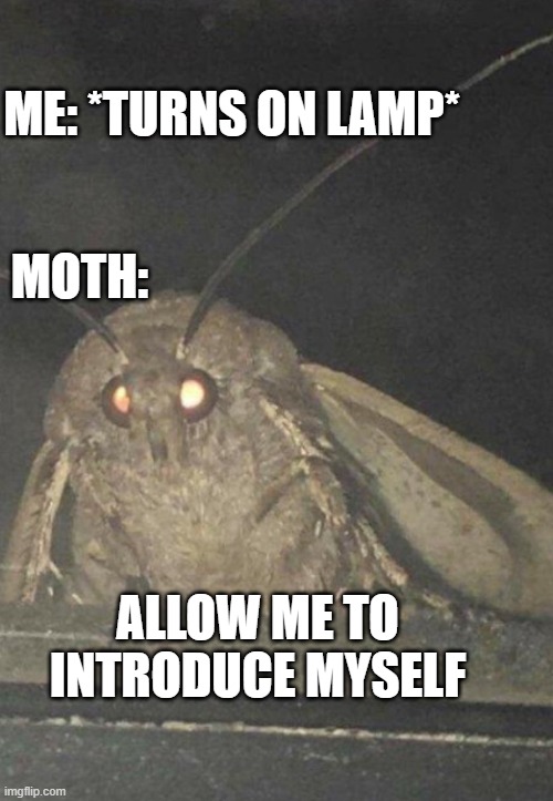 Lamp! | ME: *TURNS ON LAMP*; MOTH:; ALLOW ME TO INTRODUCE MYSELF | image tagged in moth,memes,funny memes | made w/ Imgflip meme maker