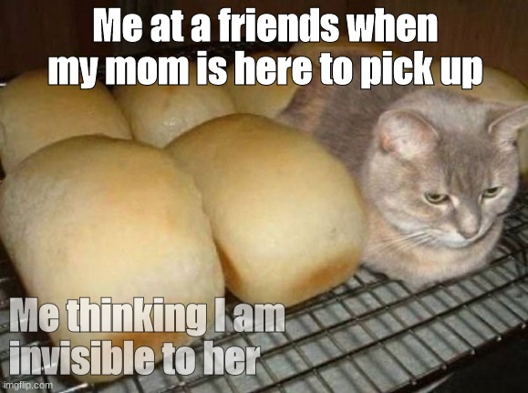 me trying to hide | Me at a friends when my mom is here to pick up; Me thinking I am invisible to her | image tagged in cat bread | made w/ Imgflip meme maker