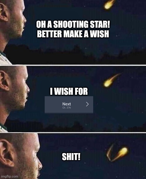 shooting star | OH A SHOOTING STAR!
BETTER MAKE A WISH; I WISH FOR; SHIT! | image tagged in shooting star | made w/ Imgflip meme maker