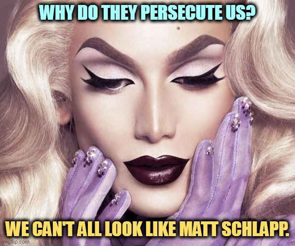 WHY DO THEY PERSECUTE US? WE CAN'T ALL LOOK LIKE MATT SCHLAPP. | image tagged in republicans,homophobia,drag queen,ron desantis,hypocrisy | made w/ Imgflip meme maker