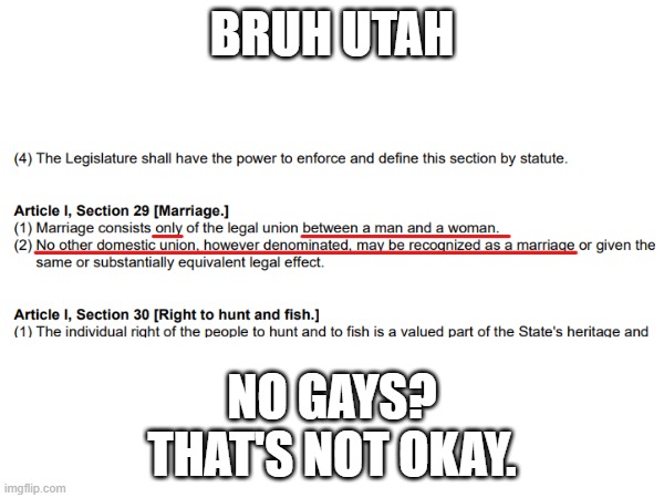 What about 2015? | BRUH UTAH; NO GAYS?
THAT'S NOT OKAY. | image tagged in lgbtq | made w/ Imgflip meme maker