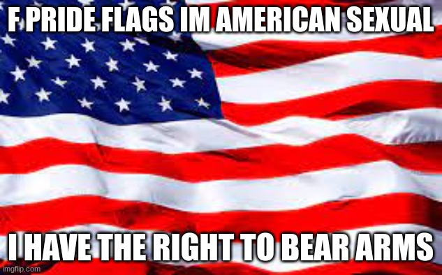 yes | F PRIDE FLAGS IM AMERICAN SEXUAL; I HAVE THE RIGHT TO BEAR ARMS | image tagged in america | made w/ Imgflip meme maker