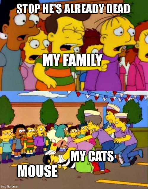 Not a fun stream meme because it actually happened | MY FAMILY; MY CATS; MOUSE | image tagged in stop he's already dead | made w/ Imgflip meme maker