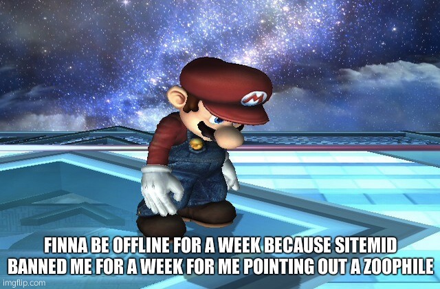 bnhs: I swear the site mids are trigger happy today | FINNA BE OFFLINE FOR A WEEK BECAUSE SITEMID BANNED ME FOR A WEEK FOR ME POINTING OUT A ZOOPHILE | image tagged in sad mario | made w/ Imgflip meme maker