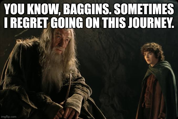 YOU KNOW, BAGGINS. SOMETIMES I REGRET GOING ON THIS JOURNEY. | image tagged in memes,gandalf,lol | made w/ Imgflip meme maker