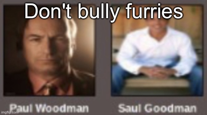 check desc | Don't bully furries; Without me | image tagged in paul vs saul | made w/ Imgflip meme maker