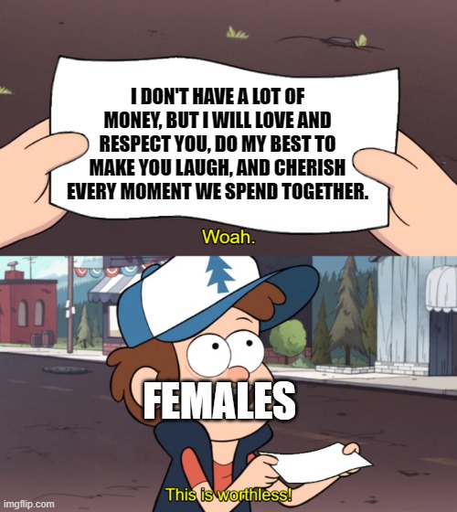 This is Worthless | I DON'T HAVE A LOT OF MONEY, BUT I WILL LOVE AND RESPECT YOU, DO MY BEST TO MAKE YOU LAUGH, AND CHERISH EVERY MOMENT WE SPEND TOGETHER. FEMALES | image tagged in this is worthless | made w/ Imgflip meme maker