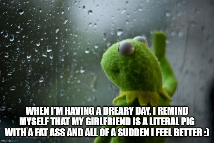 kermit window | WHEN I'M HAVING A DREARY DAY, I REMIND MYSELF THAT MY GIRLFRIEND IS A LITERAL PIG WITH A FAT ASS AND ALL OF A SUDDEN I FEEL BETTER :) | image tagged in kermit window,depressed,rainy day,gray day,kermit the frog | made w/ Imgflip meme maker