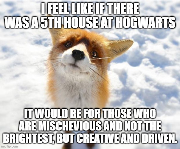 Vulpinfloff | I FEEL LIKE IF THERE WAS A 5TH HOUSE AT HOGWARTS; IT WOULD BE FOR THOSE WHO ARE MISCHEVIOUS AND NOT THE BRIGHTEST, BUT CREATIVE AND DRIVEN. | image tagged in what does the fox say | made w/ Imgflip meme maker