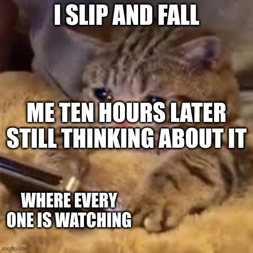 I SLIP AND FALL; ME TEN HOURS LATER STILL THINKING ABOUT IT; WHERE EVERY ONE IS WATCHING | image tagged in sad kitty | made w/ Imgflip meme maker