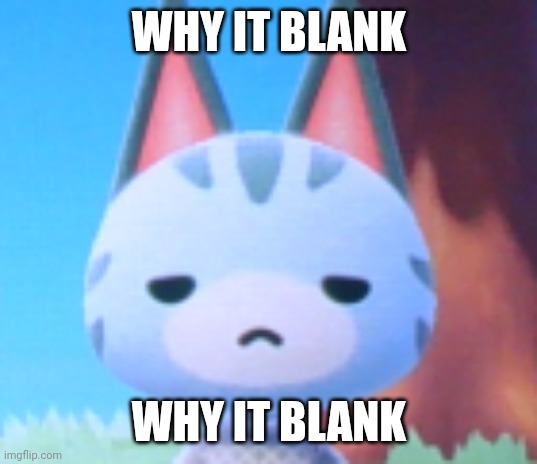 Does it look like I care? - Lolly ACNH | WHY IT BLANK WHY IT BLANK | image tagged in does it look like i care - lolly acnh | made w/ Imgflip meme maker