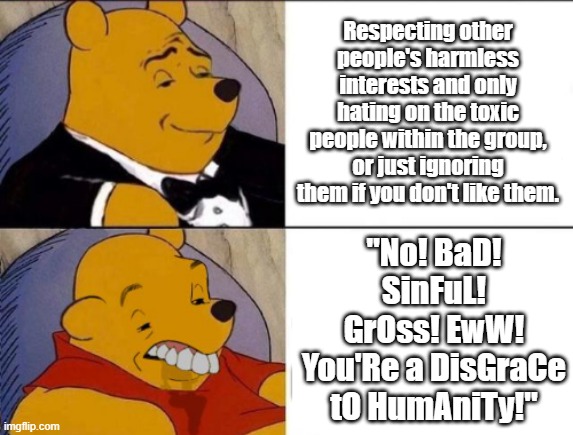 This meme was going to be about furry hate, but it extends way past furries unfortunately. | Respecting other people's harmless interests and only hating on the toxic people within the group, or just ignoring them if you don't like them. "No! BaD! SinFuL! GrOss! EwW! You'Re a DisGraCe tO HumAniTy!" | image tagged in classy and dumb pooh,memes,hate,haters,judgemental,unfair | made w/ Imgflip meme maker
