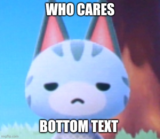 Does it look like I care? - Lolly ACNH | WHO CARES BOTTOM TEXT | image tagged in does it look like i care - lolly acnh | made w/ Imgflip meme maker