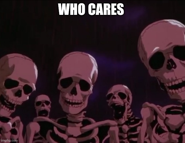Berserk Skeletons | WHO CARES | image tagged in berserk skeletons | made w/ Imgflip meme maker