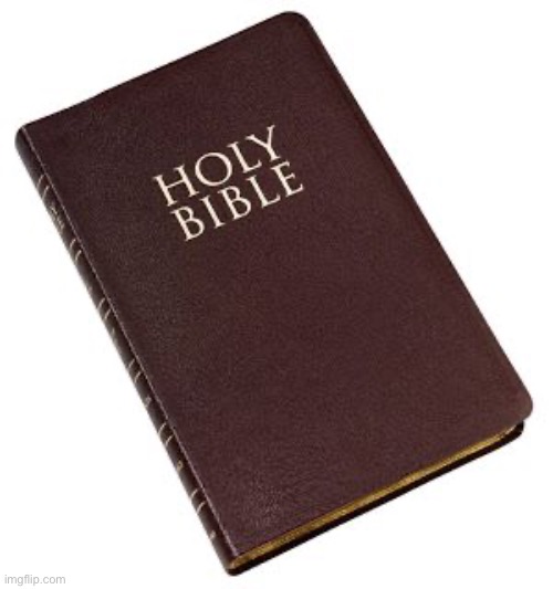 image tagged in holy bible | made w/ Imgflip meme maker