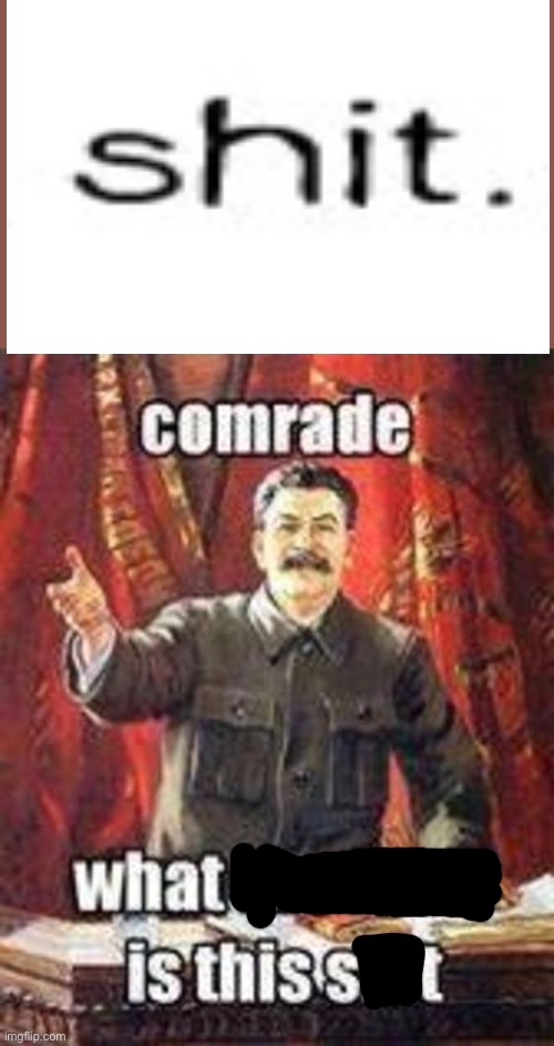 Comrade, What the f**k is this sh*t? (Censored) | image tagged in comrade what the f k is this sh t censored | made w/ Imgflip meme maker