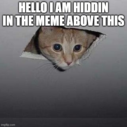 wasd | HELLO I AM HIDDIN IN THE MEME ABOVE THIS | image tagged in memes,ceiling cat | made w/ Imgflip meme maker