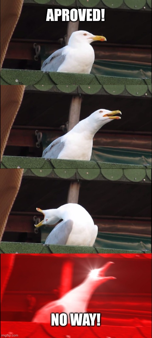 Inhaling Seagull Meme | APROVED! NO WAY! | image tagged in memes,inhaling seagull | made w/ Imgflip meme maker