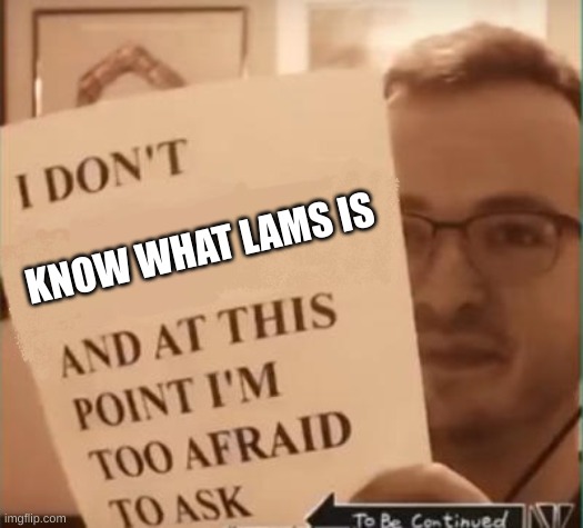 And at This Point I'm Too Afraid to Ask | KNOW WHAT LAMS IS | image tagged in and at this point i'm too afraid to ask | made w/ Imgflip meme maker