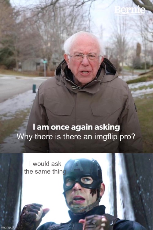 Why there is there an imgflip pro? I would ask the same thing | image tagged in memes,bernie i am once again asking for your support,i can do this all day | made w/ Imgflip meme maker