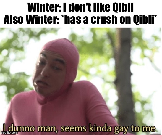 Quinter :3 | Winter: I don't like Qibli
Also Winter: *has a crush on Qibli* | image tagged in i dunno man seems kinda gay to me | made w/ Imgflip meme maker