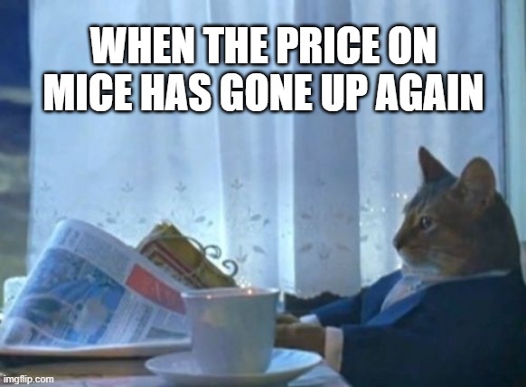 not a nice price for mice | WHEN THE PRICE ON MICE HAS GONE UP AGAIN | image tagged in memes,i should buy a boat cat,mice,inflation,news | made w/ Imgflip meme maker