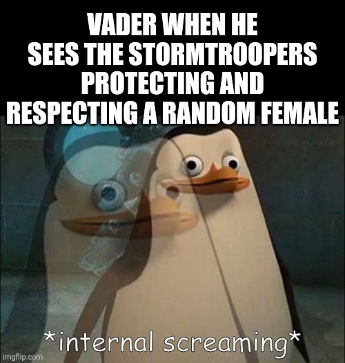 VADER WHEN HE SEES THE STORMTROOPERS PROTECTING AND RESPECTING A RANDOM FEMALE | image tagged in blank black,private internal screaming | made w/ Imgflip meme maker