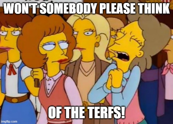 Think Of The Children, Simpsons | WON'T SOMEBODY PLEASE THINK; OF THE TERFS! | image tagged in think of the children simpsons | made w/ Imgflip meme maker