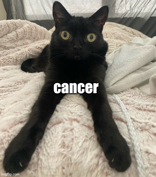 cancer | made w/ Imgflip meme maker