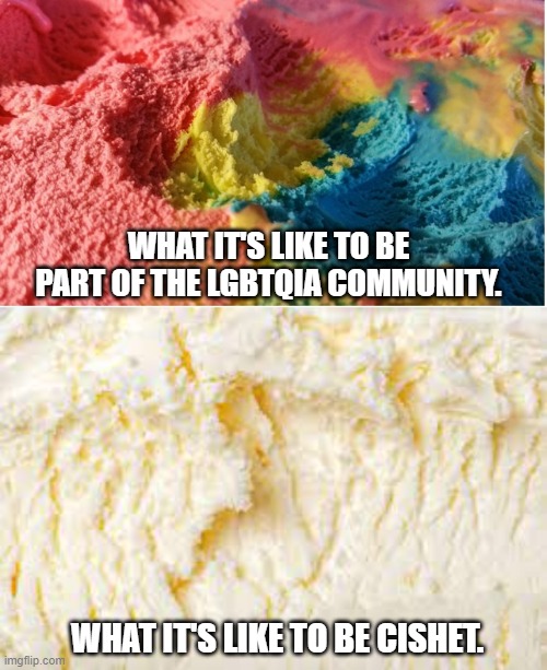 WHAT IT'S LIKE TO BE PART OF THE LGBTQIA COMMUNITY. WHAT IT'S LIKE TO BE CISHET. | image tagged in lgbtq,ice cream | made w/ Imgflip meme maker