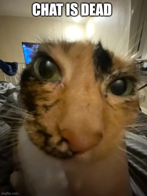 Jonquavius John Jingle Jang Joogle Gloop the 3rd | CHAT IS DEAD | image tagged in jonquavius john jingle jang joogle gloop the 3rd | made w/ Imgflip meme maker