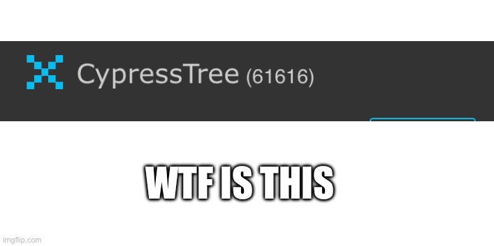 61616 | WTF IS THIS | image tagged in weird | made w/ Imgflip meme maker