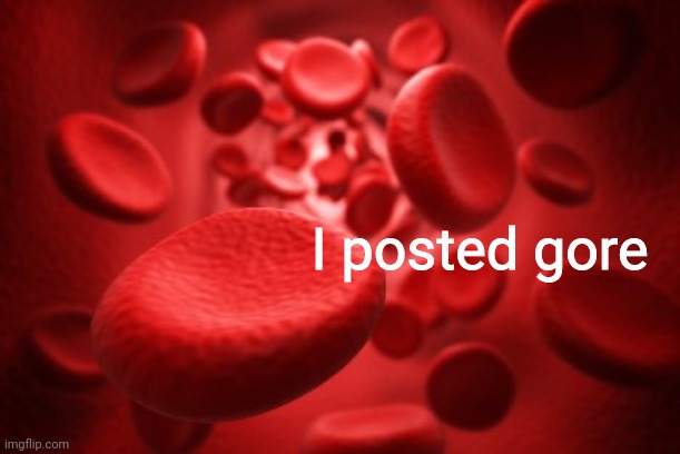 I posted gore | made w/ Imgflip meme maker