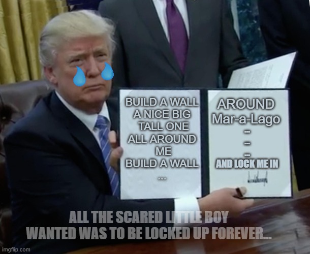 WALL-A-LAGO | AROUND Mar-a-Lago; BUILD A WALL
A NICE BIG
 TALL ONE
ALL AROUND
 ME
BUILD A WALL
... ...
...
...
AND LOCK ME IN; ALL THE SCARED LITTLE BOY WANTED WAS TO BE LOCKED UP FOREVER... | image tagged in memes,trump bill signing,trump wall,neo-nazis,sad man | made w/ Imgflip meme maker