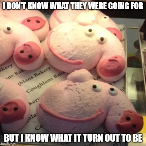 Phallicious | I DON'T KNOW WHAT THEY WERE GOING FOR; BUT I KNOW WHAT IT TURN OUT TO BE | image tagged in food | made w/ Imgflip meme maker